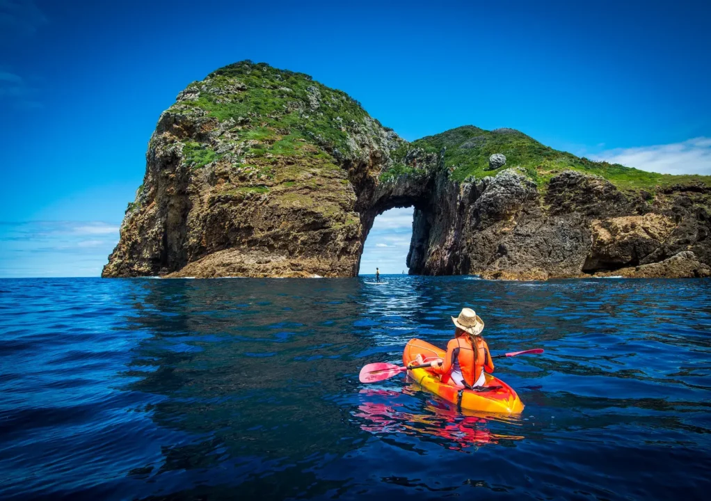 How to Get to the Poor Knights Islands: Your Guide to Visiting the Marine Reserve