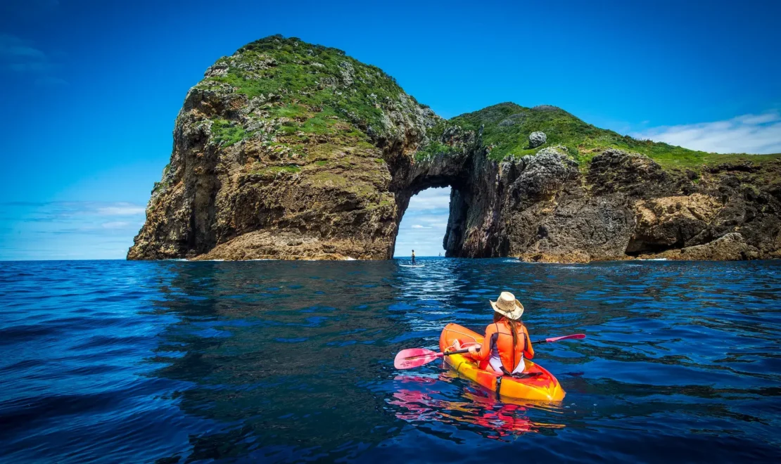 How to Get to the Poor Knights Islands: Your Guide to Visiting the Marine Reserve