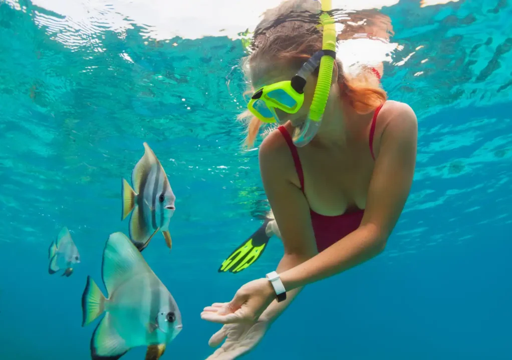 Ngunguru to Tutukaka: What to Know When You Visit