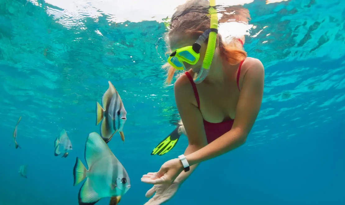 Ngunguru to Tutukaka: What to Know When You Visit