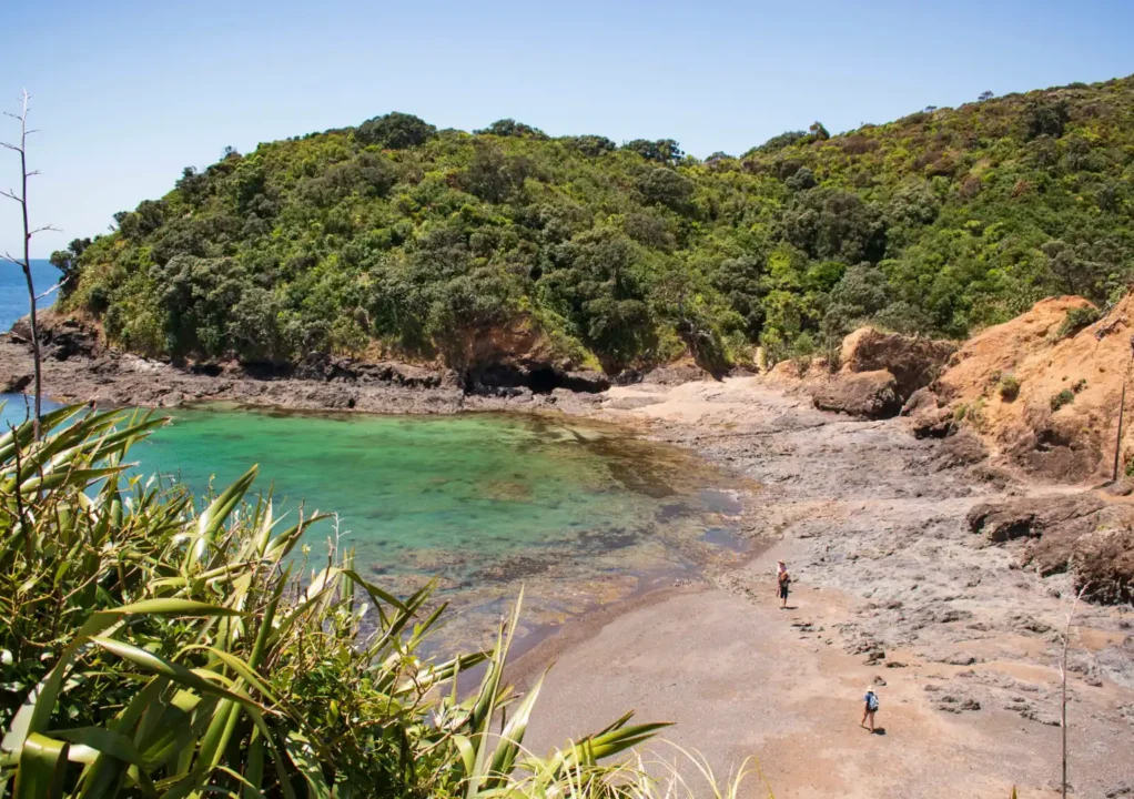 Your Guide to the Tutukaka Lighthouse Walk