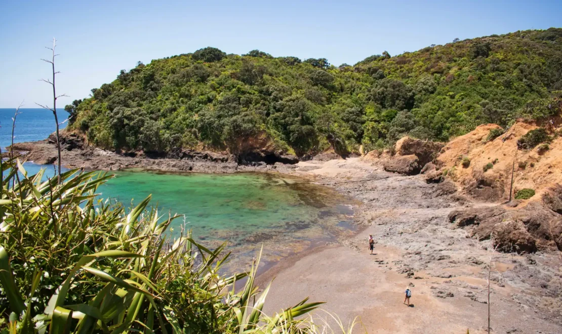 Your Guide to the Tutukaka Lighthouse Walk
